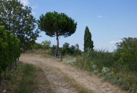 Weg zum Missions-Heisje &copy; Michael Jung