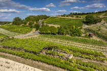 Sankt Johanner Klostergarten, &copy; Torsten Silz