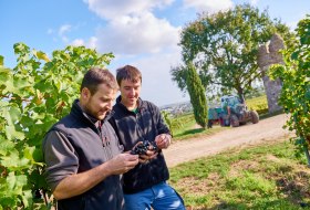Weingut Geil_Winzer &copy; Weingut Geil