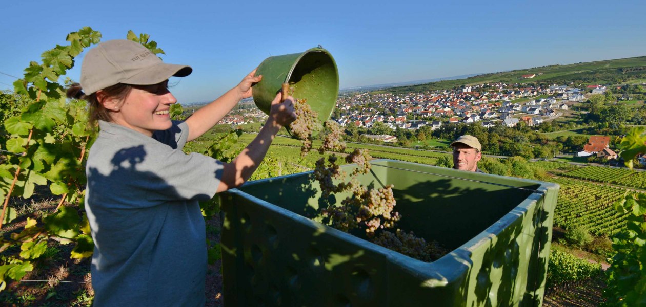 Weingut Fritz Ekkehard Huff_Winzer, &copy; Weingut Fritz Ekkehard Huff