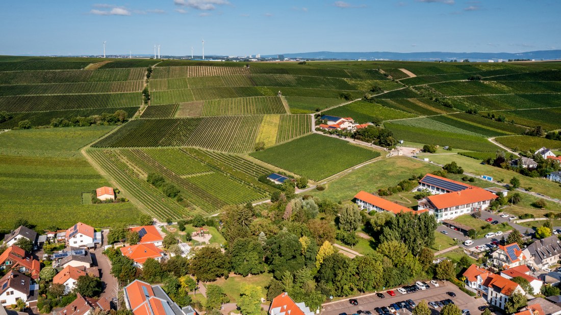 Bodenheimer Burgweg