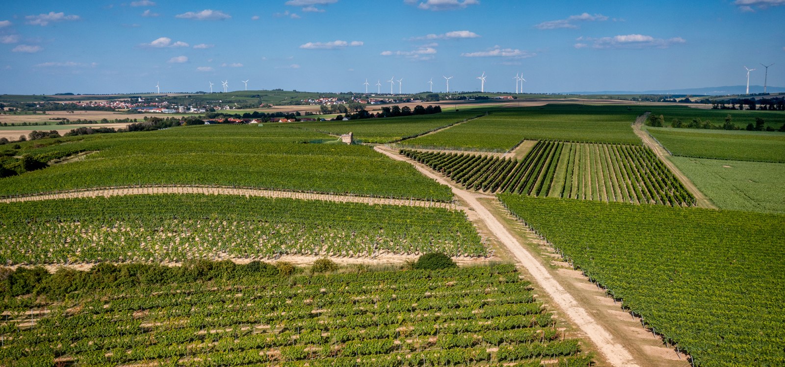 Dittelsheimer Leckerberg