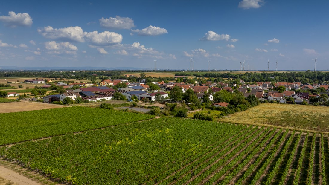 Heppenheimer Schneckenberg, &copy; Torsten Silz