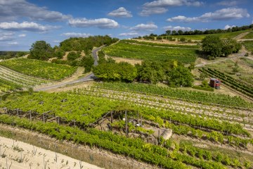 Sankt Johanner Klostergarten, &copy; Torsten Silz