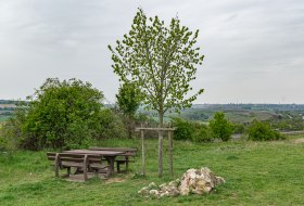 Picknickplatz in Gundersheim am Höllenbrand © Ludwig Timm