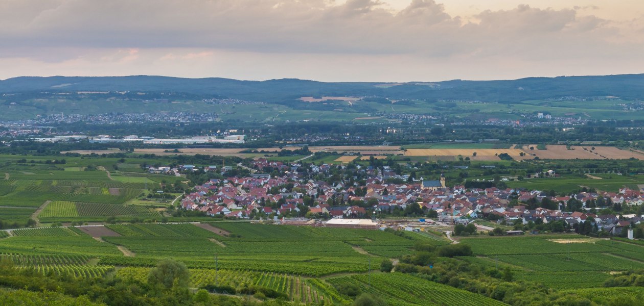 FamilienWeinGut Feser_Jakobsberg, &copy; FamilienWeinGut Feser