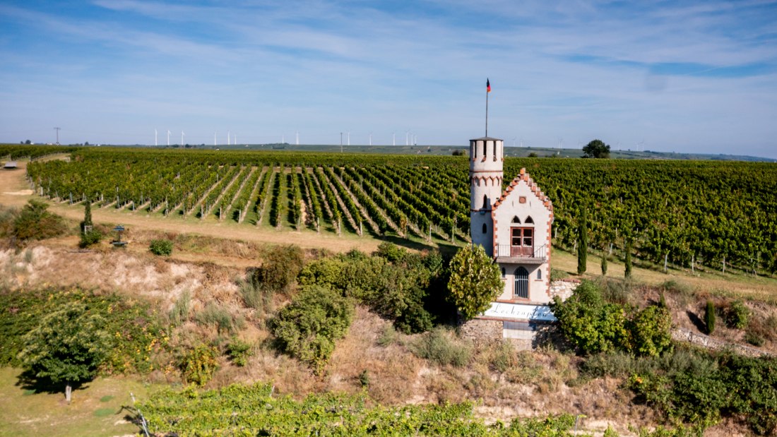 Osthofener Leckzapfen