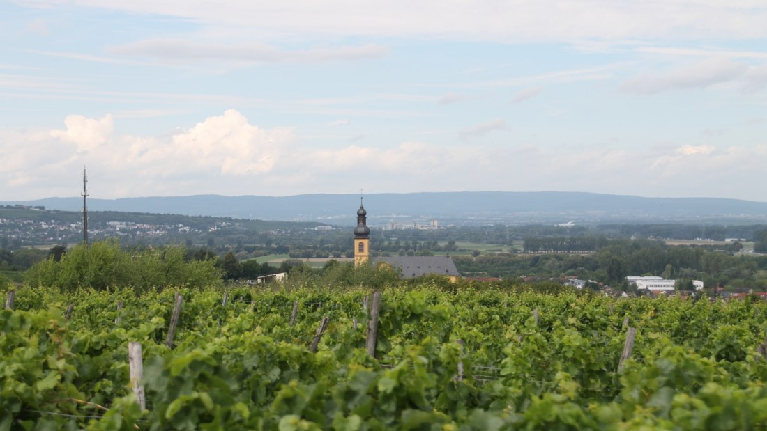 Alt.regional, &copy; Weingut Sans-Lorch