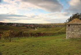 Blick auf Gundersheim © Stephan Ennemoser