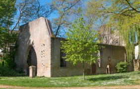 Ruine Liebfrauenkirche &copy; Ulrich van Wasen
