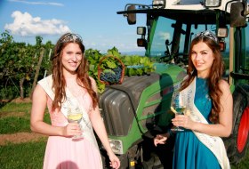 Weinmajest&auml;ten Bechtheim 2017/2018 &copy; Verbandsgemeinde Wonnegau / Michael Thier