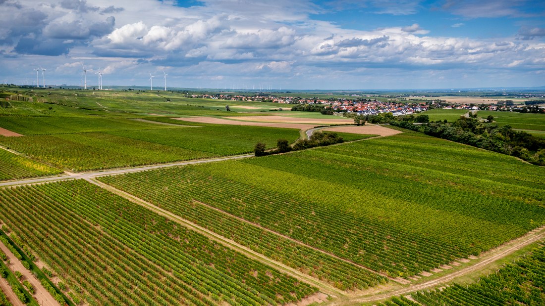 Nieder-Fl&ouml;rsheimer Frauenberg
