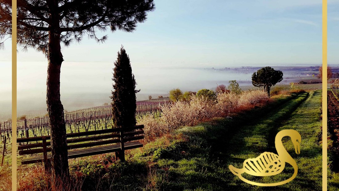 Weingut Schwahn-Fehlinger_Logo 2, &copy; Weingut Schwahn-Fehlinger