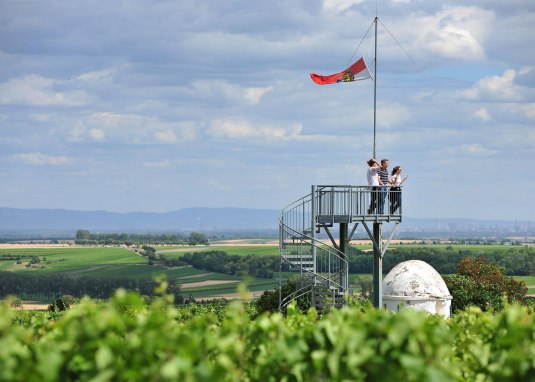 Aussichtturm Flörsheim-Dalsheim © VG Monsheim Fotograf Carsten Costard