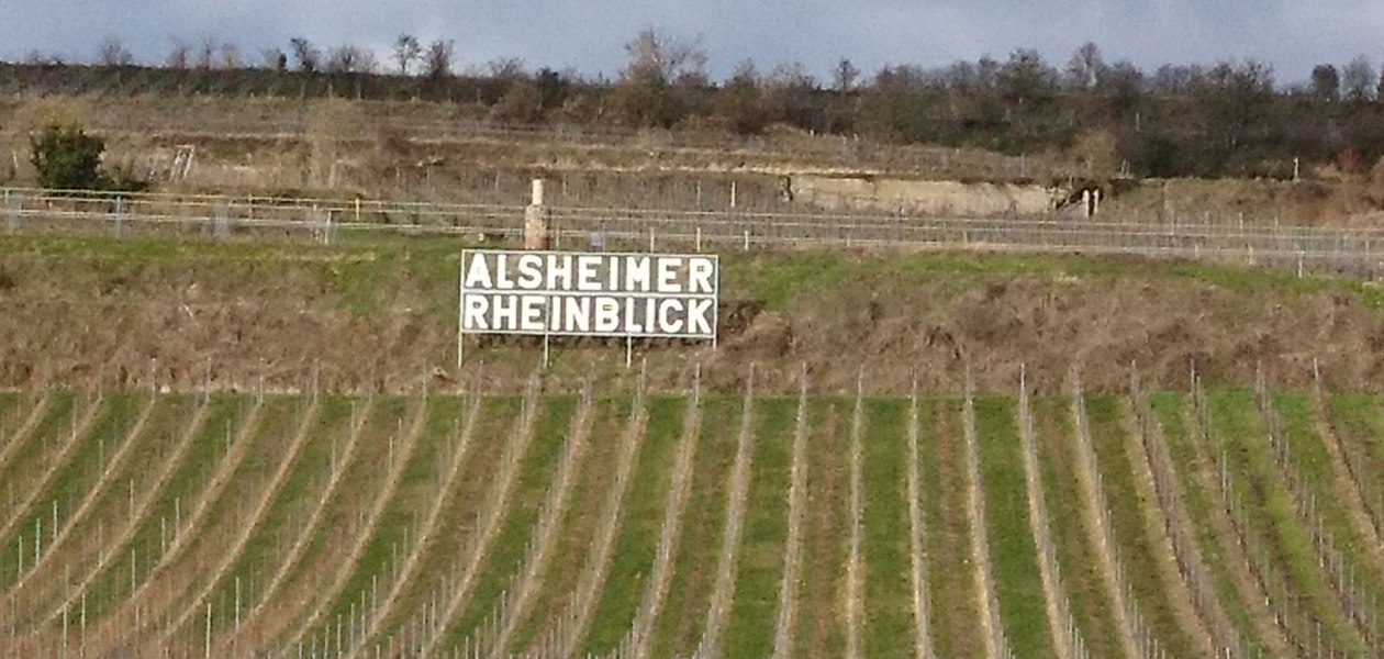 Weingut Weber Hof-B&auml;renstein_Weinberg, &copy; Weingut Weber Hof-B&auml;renstein