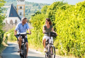 Radfahren im Wonnegau © Rheinhessen-Touristik GmbH - Dominik Ketz