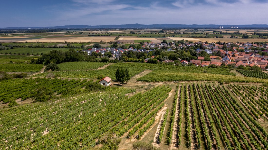Mettenheimer Schlossberg