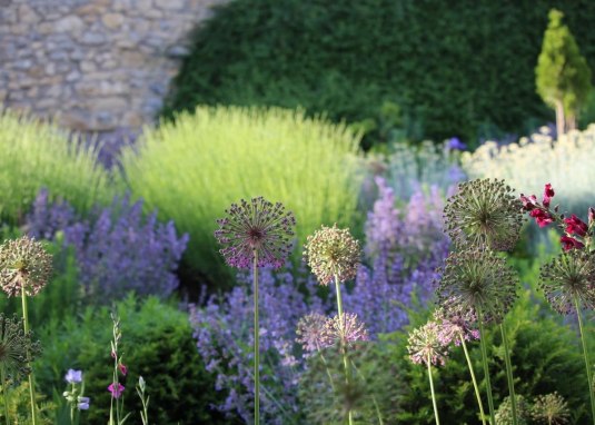 Garten Rheingrün © Iris Leonhardt