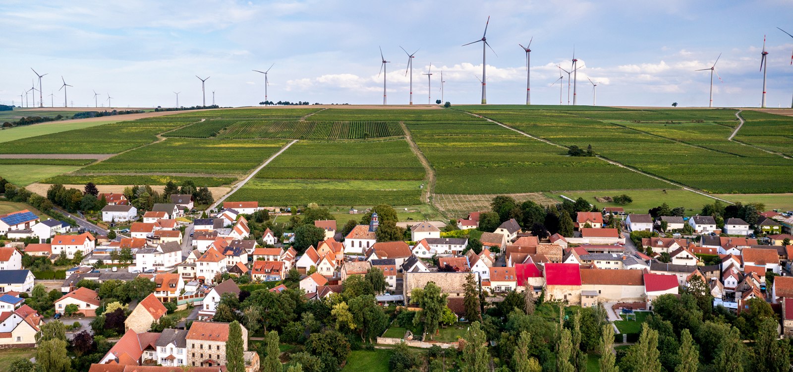 Dautenheimer Himmelacker