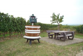 Wein Bechtheim © Verbandsgemeinde Wonnegau / Michael Thier