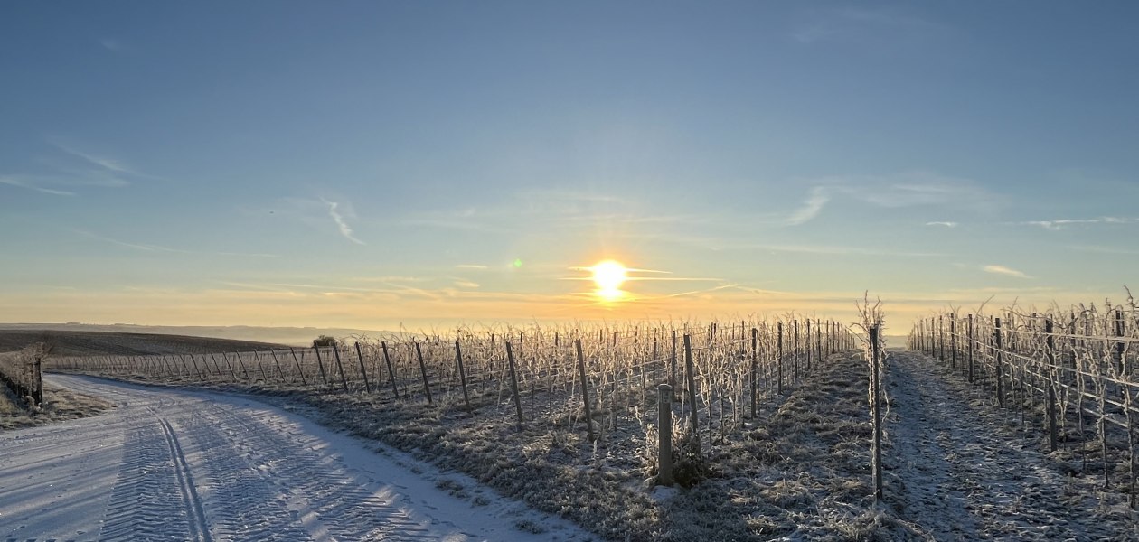Bio Weingut Hellmich_Schnee, &copy; Bio Weingut Hellmich