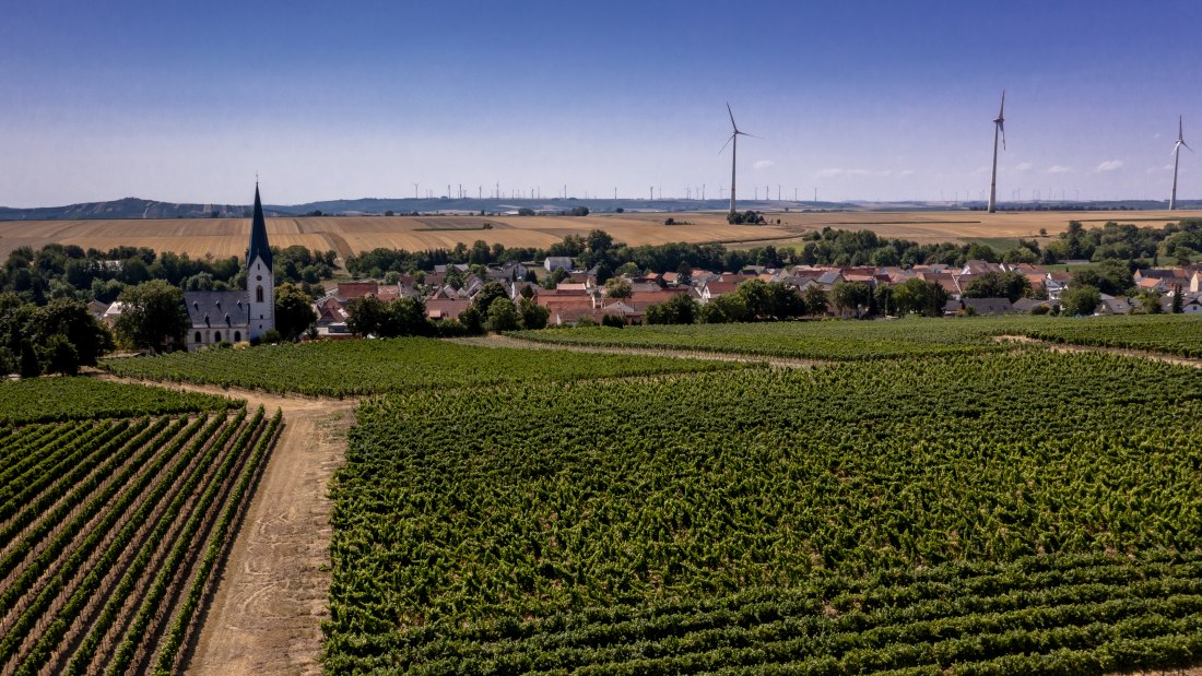 Gabsheimer Rosengarten