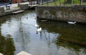 Kneipp Anlage 2 &copy; Michael Jung