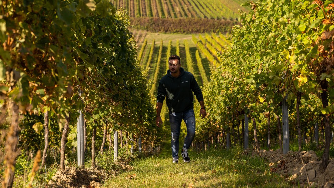 Mark Hahn Weine_Winzer in den Weinbergen, &copy; Mark Hahn Weine Weingut Hahn GbR