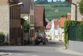 Impressionen Dittelsheim-He&szlig;loch &copy; Verbandsgemeinde Wonnegau / Michael Thier