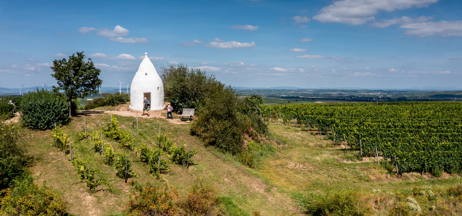 Flonheimer Rotenpfad, &copy; Rheinhessenwein e.V./Torsten Silz