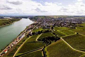 Nierstein_Weinberg