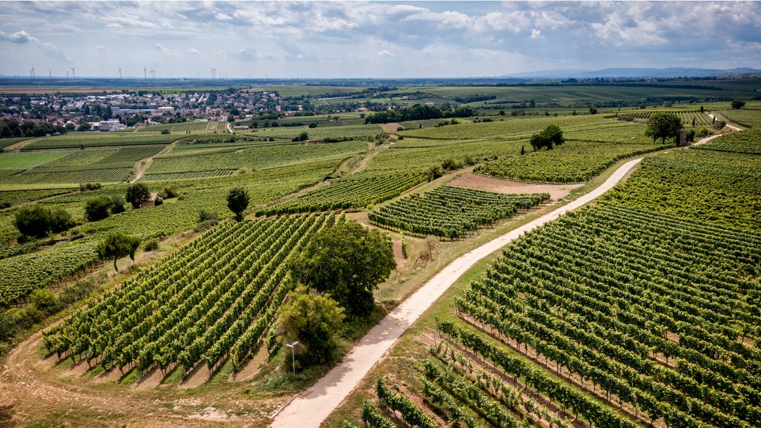 Westhofener Kirchspiel