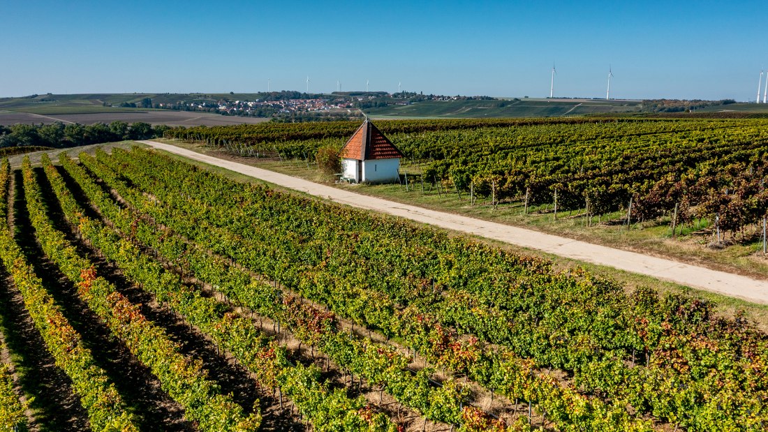 Biebelnheimer Rosengarten