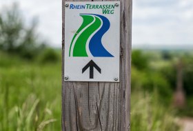 Beschilderung Rheinterrassenweg &copy; Rheinhessen-Touristik GmbH - Karl-Georg M&uuml;ller