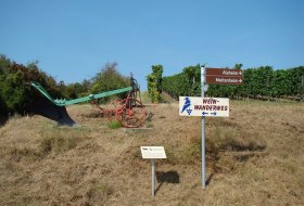 Weinwanderweg Bechtheim © Verbandsgemeinde Wonnegau / Michael Thier