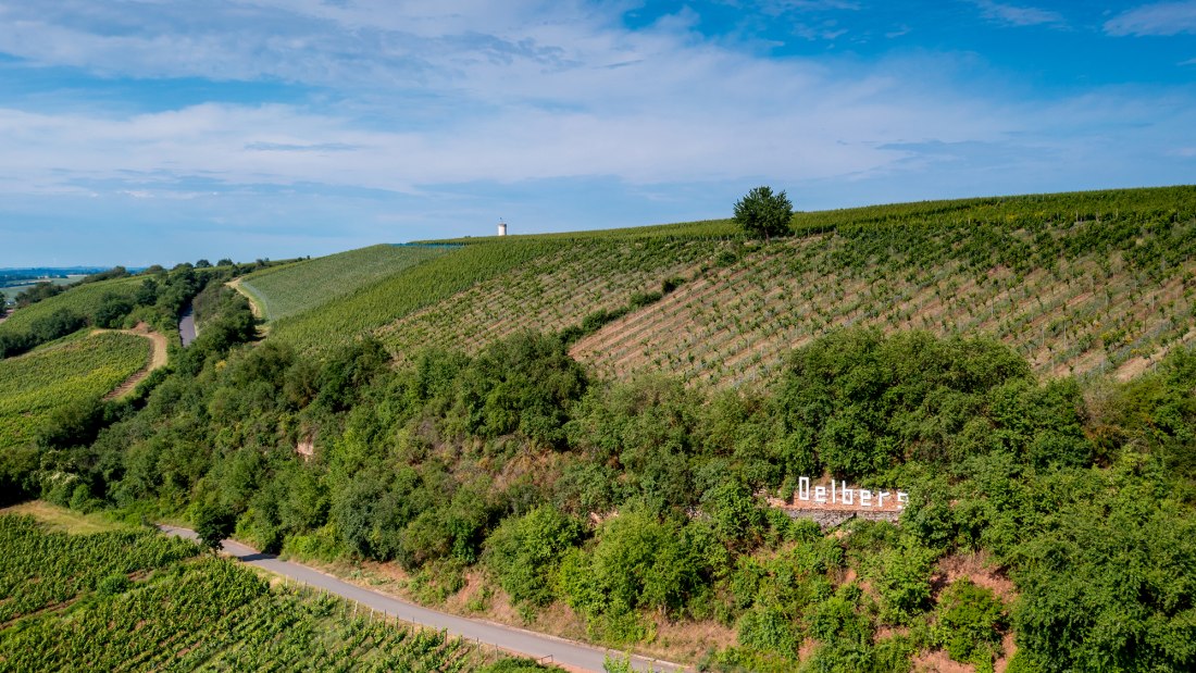 Niersteiner Ölberg