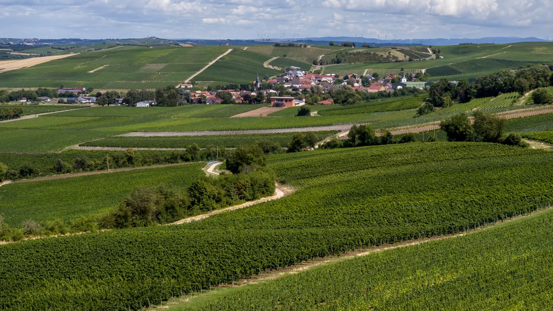 Bornheimer H&auml;hnchen