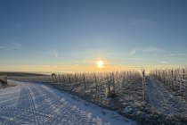 Bio Weingut Hellmich_Schnee, © Bio Weingut Hellmich