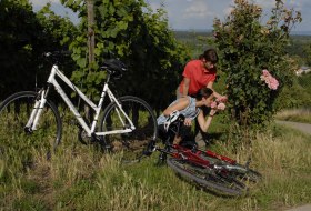 Rund um Osthofen &copy; Rheinhessen-Touristik GmbH - Uwe Feuerbach