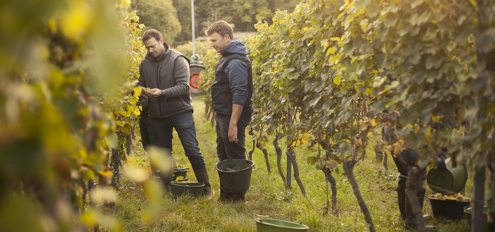 Weingut Karl May_Winzer 2, © Weingut Karl May