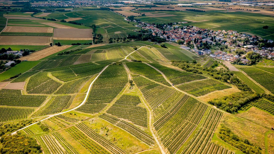 Horrweiler Gewürzgärtchen