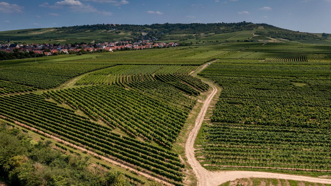 Ockenheimer Hockenmühle