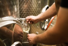 Vinothek Dackermann &copy; Weingut Dackermann