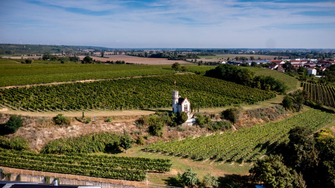 Osthofener Leckzapfen