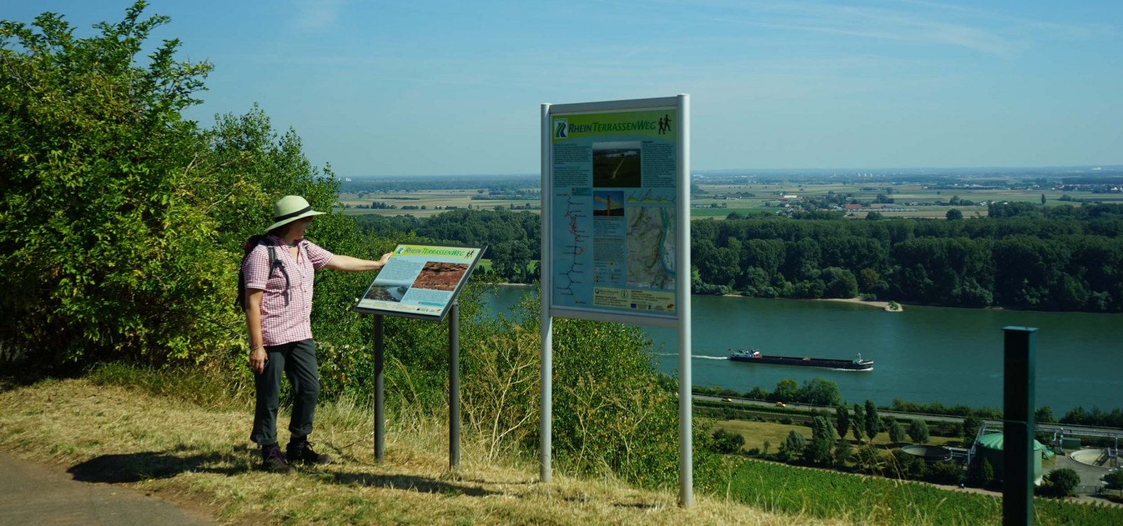 RheinTerrassenWeg, © Rheinhessen-Touristik GmbH - Karl-Georg Müller