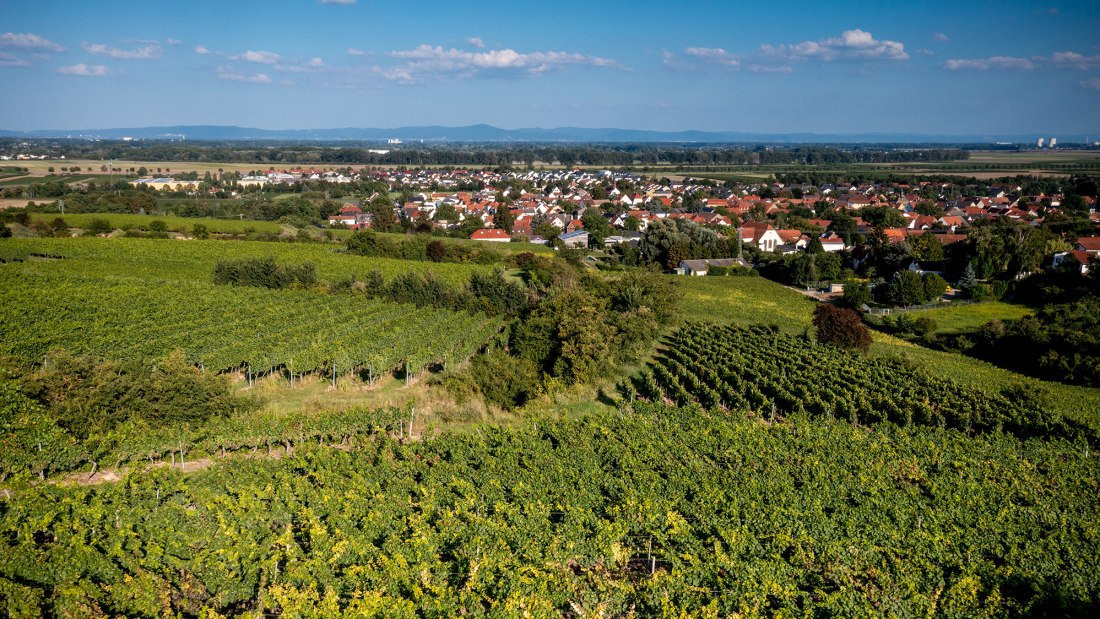 Alsheimer Fr&uuml;hmesse