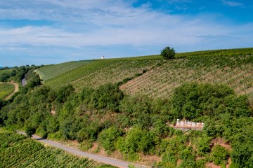 Niersteiner &Ouml;lberg