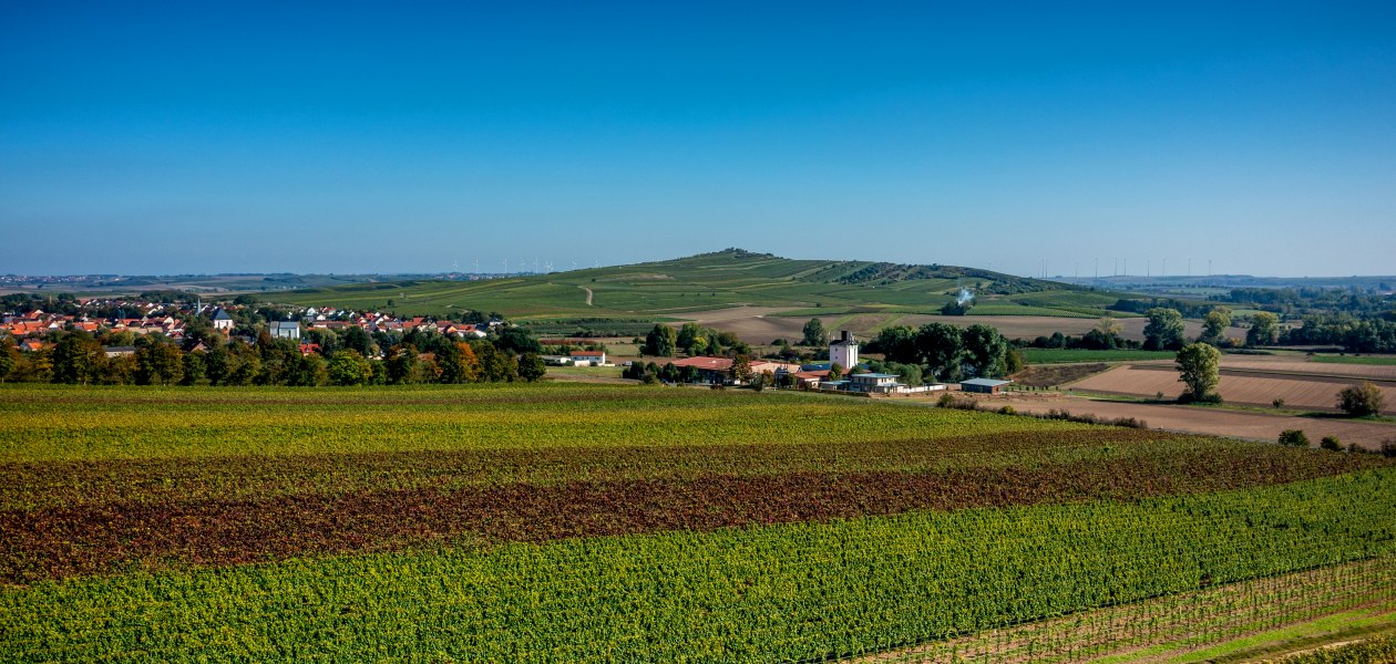 Biebelnheimer Pilgerstein, &copy; Torsten Silz