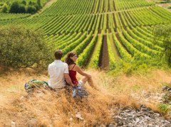 Wandern in den Weinbergen &copy; Rheinhessen-Touristik GmbH - Dominik Ketz