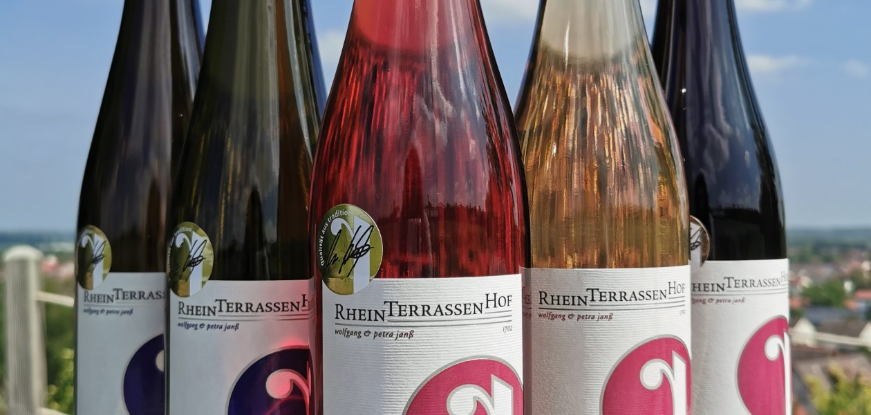Weingut Rheinterrassenhof_Weinflasche, &copy; Weingut Rheinterrassenhof